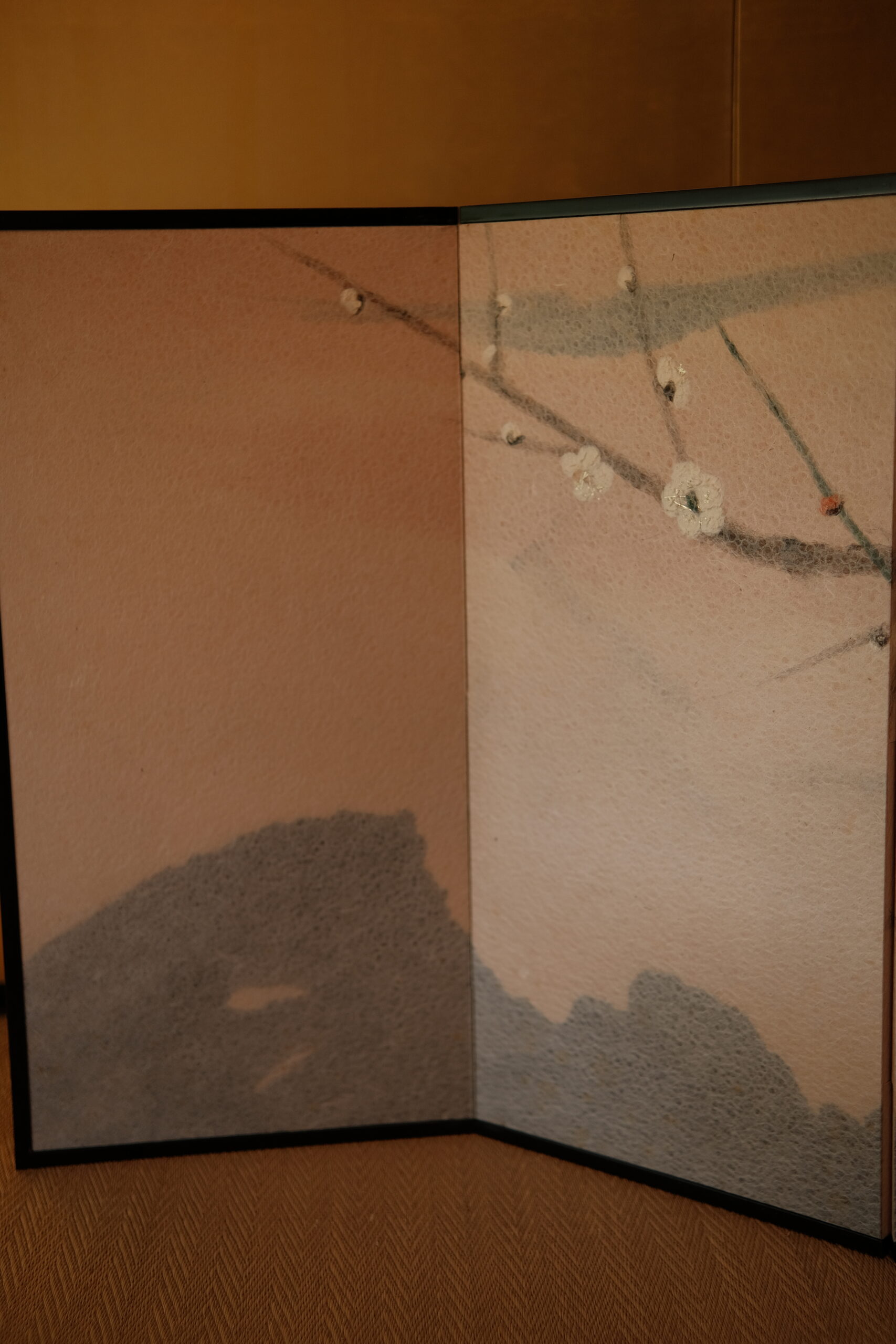 DSCF0469 (2)