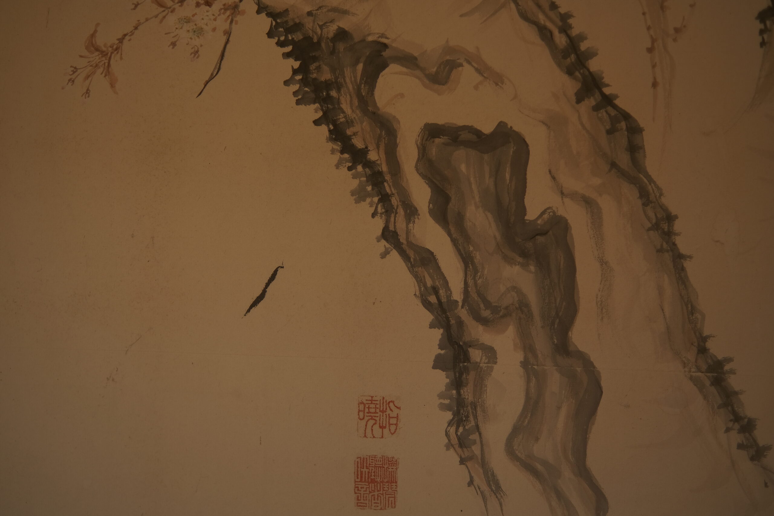 DSCF0539 (2)