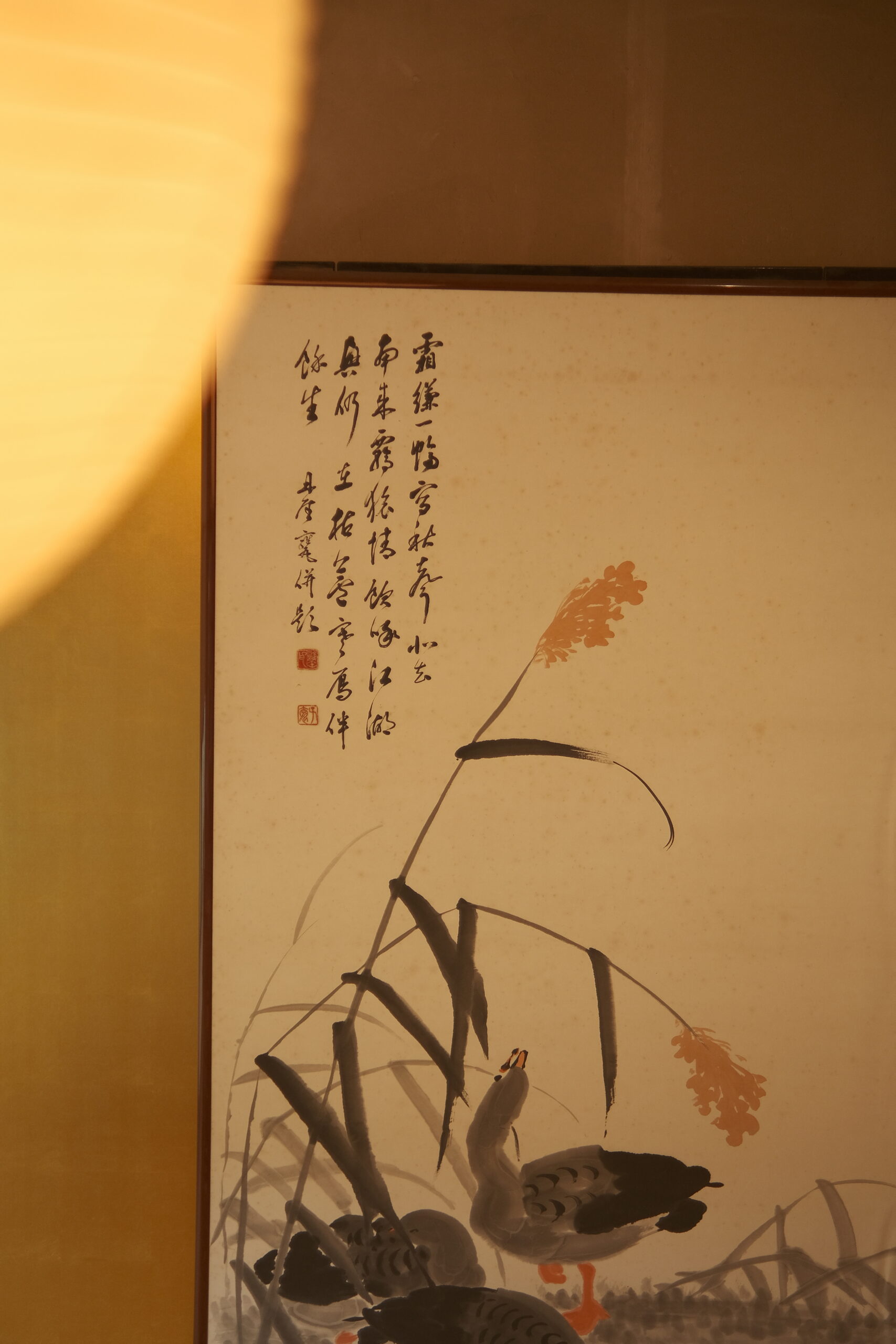 DSCF1323