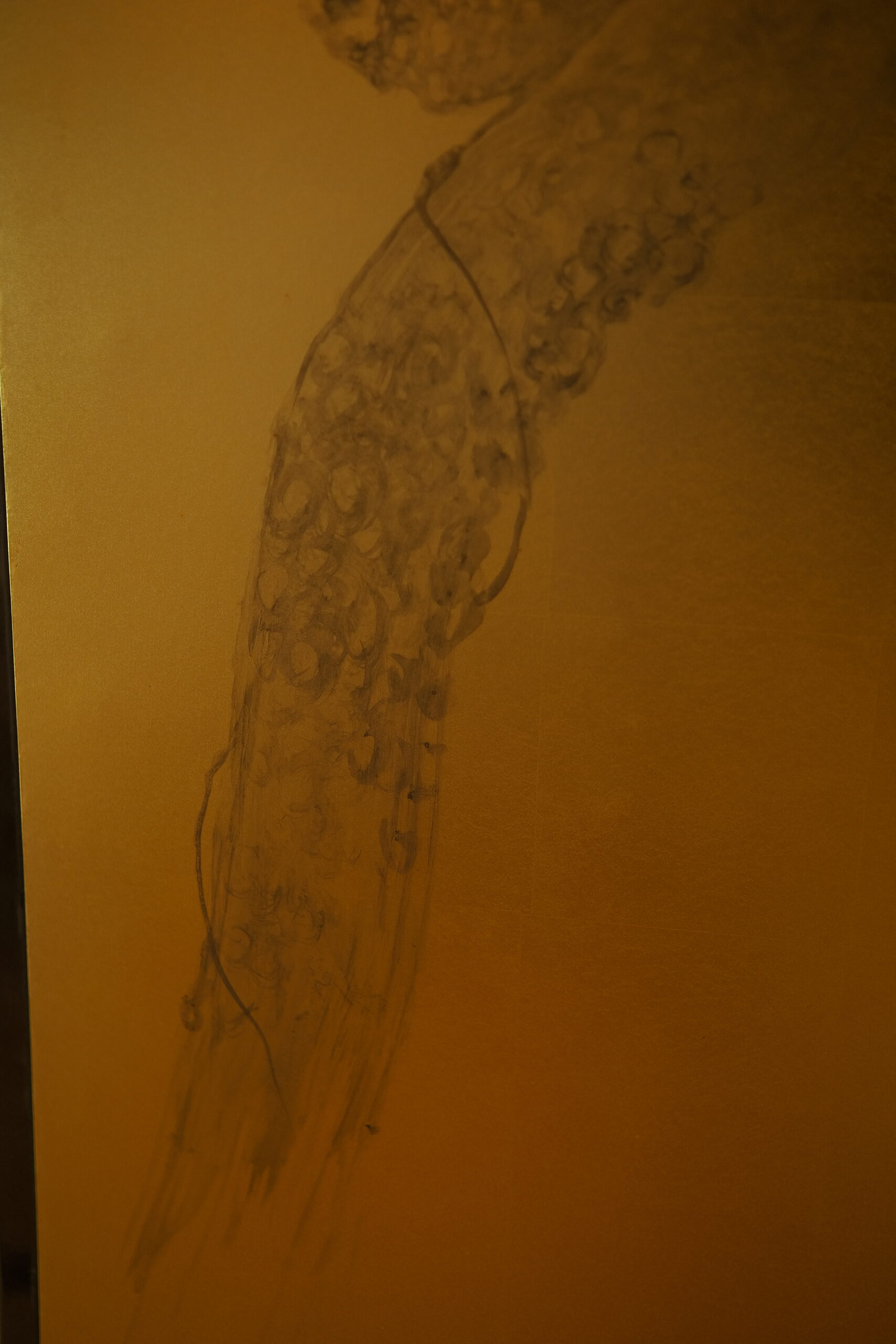 DSCF1337