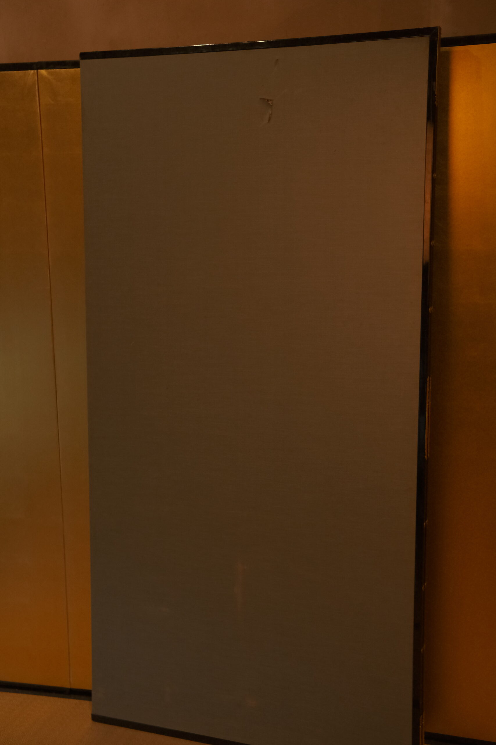 DSCF1399