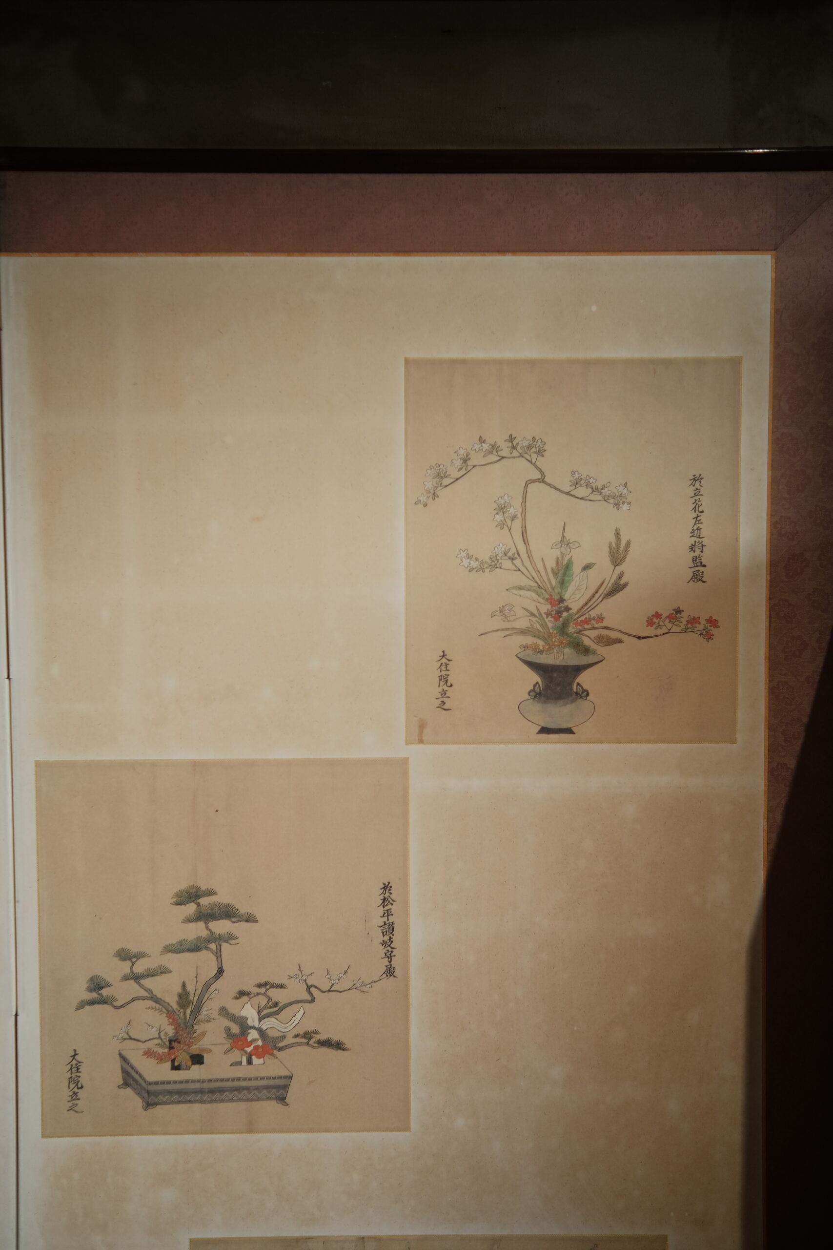 DSCF7240 (2)