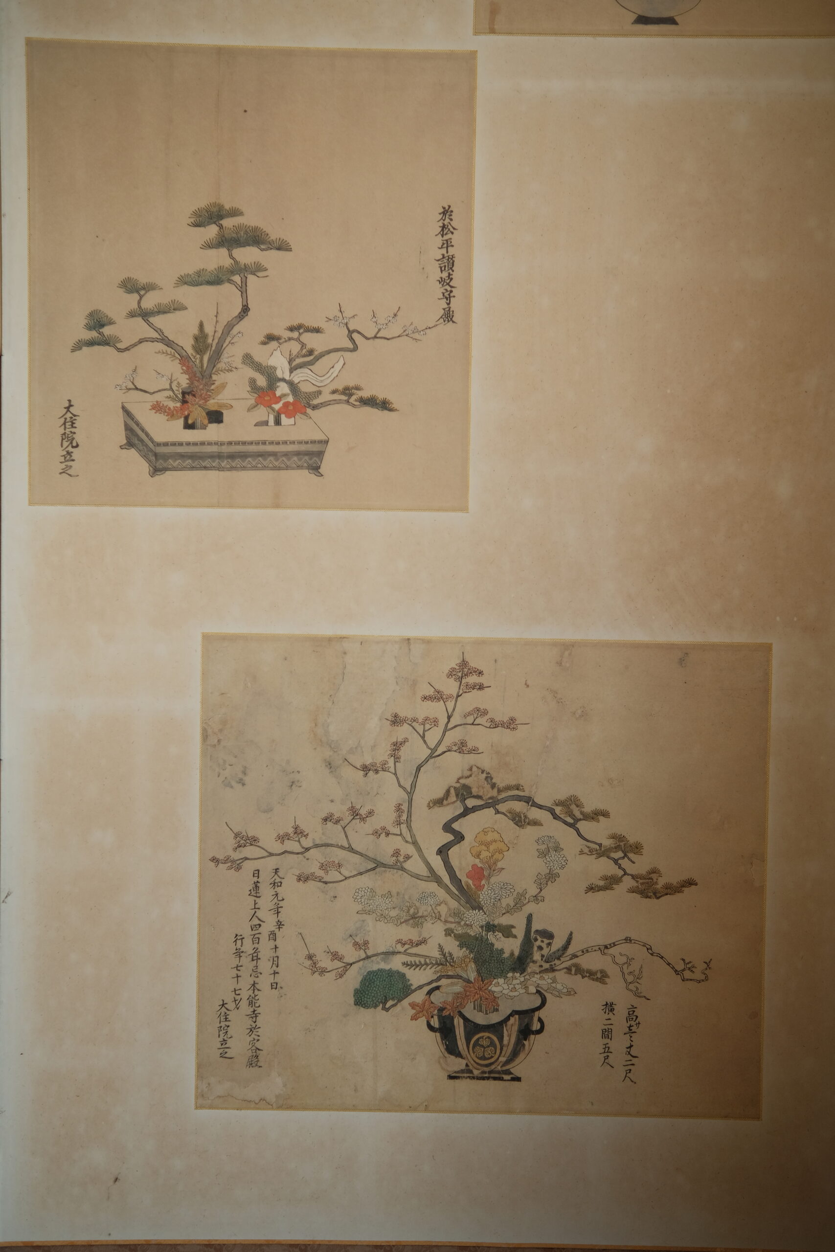 DSCF7241 (2)