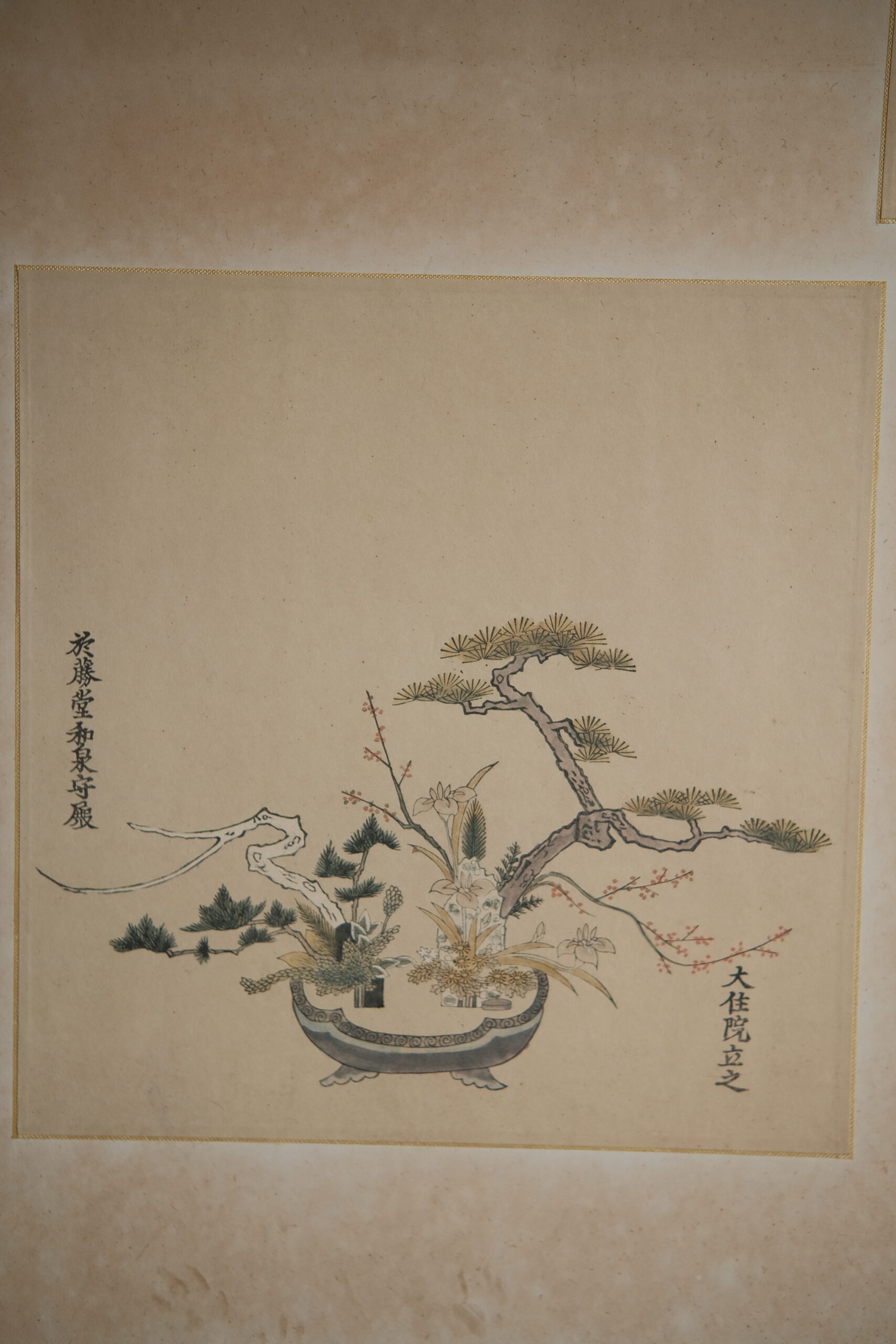 DSCF7244 (2)